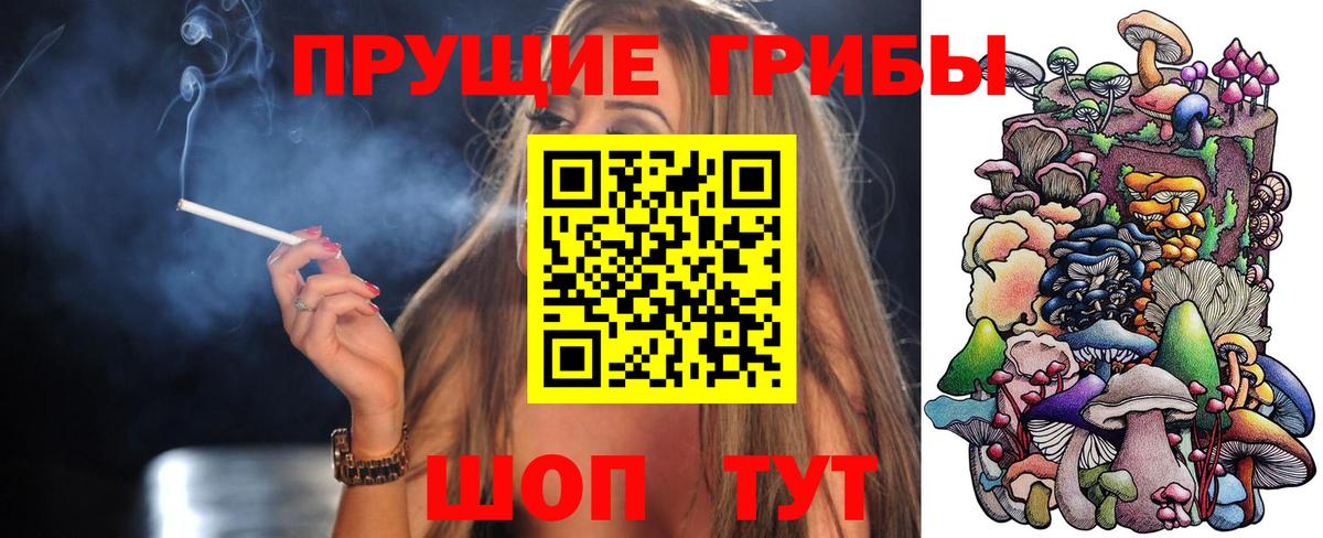 Дербент  Псилоцибиновые грибы GOLDEN TEACHER  Вход с VPN 